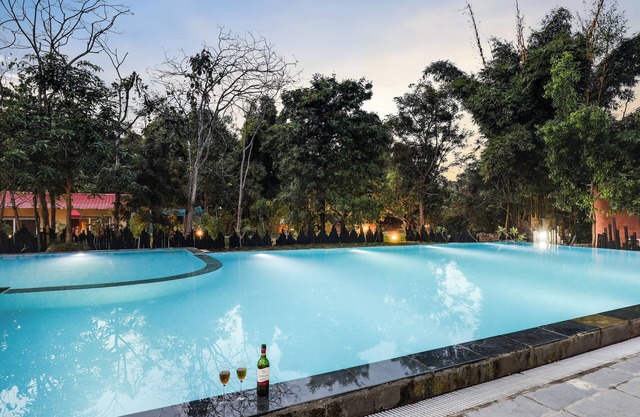 Bhil's Kabeela PVT POOL VILLA #2