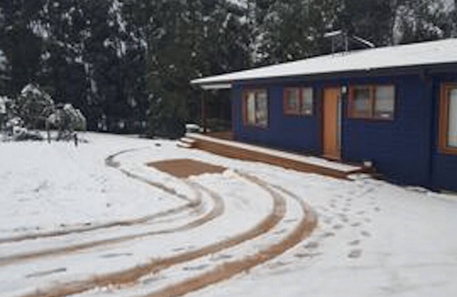 Blue House - Spring time specials!