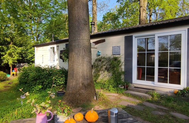 Boshuisje Wageningen