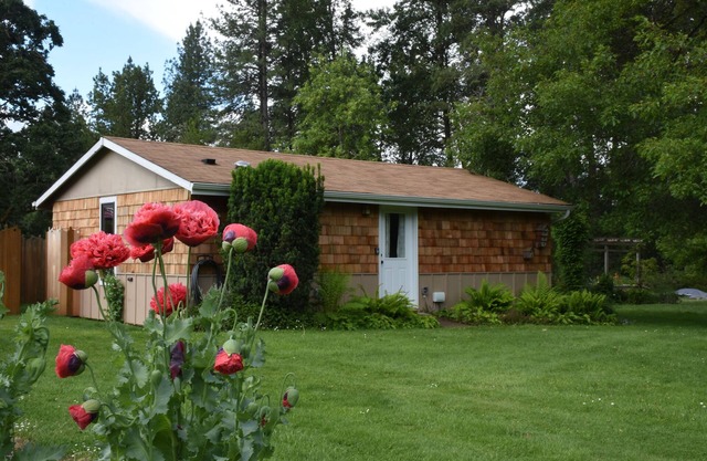 Bright spacious garden cottage 10 mi. west of Eugene. Fully remodeled sleeps 1-6