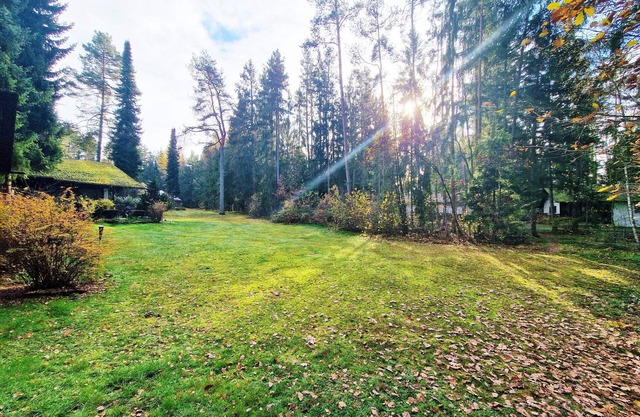 Bungalow directly at the lake, with own boat