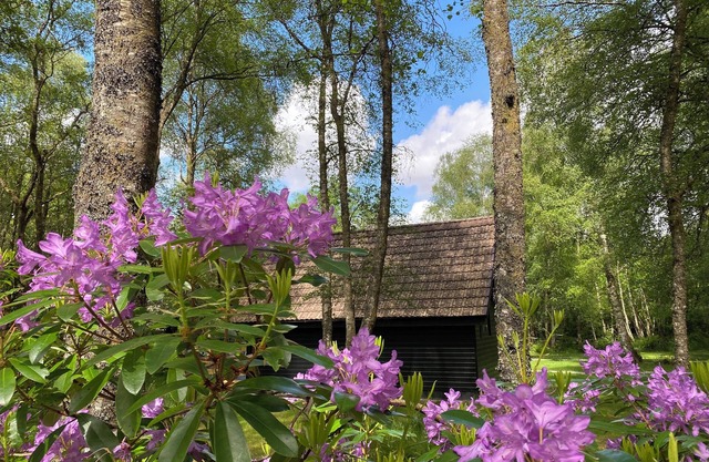 Burnbank Lodges