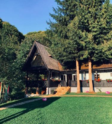 Căsuța cu doi brazi