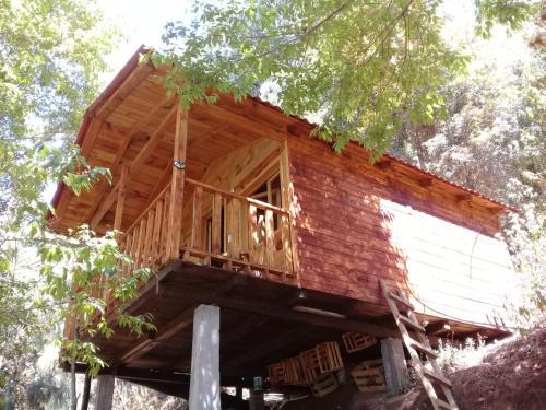 Cabaña En El Bosque De San José Del Pacífico 