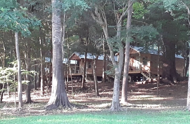 Cabin 2 Bowman's Landing on Santa Fe River