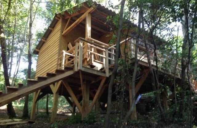 cabin among the trees
