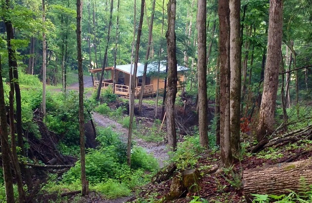 Cabin Creek Getaway by Letchworth State Park - Waterfalls & Woods!