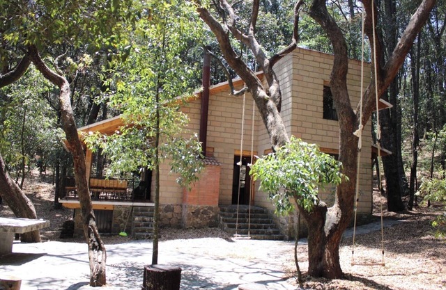 Cabin immersed in 1 hectare of forest. Maximum Internet power (Starlink)