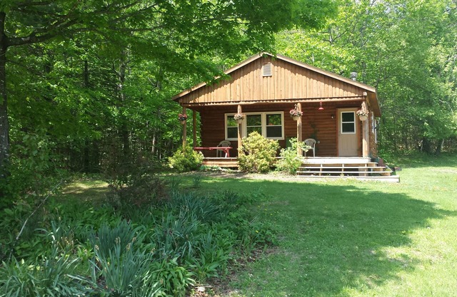 Cabin in scenic woods with hiking trails, firepit, horseback riding nearby