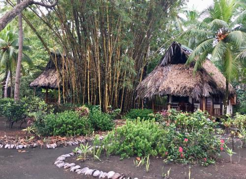 Cabinas Los Cocos