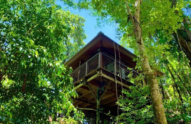 Cairns Rainforest Retreat