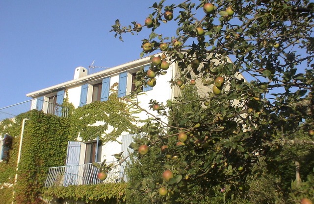 calm freshness in the mountains just 30 minutes from the sea, in the Corsican Natural Park