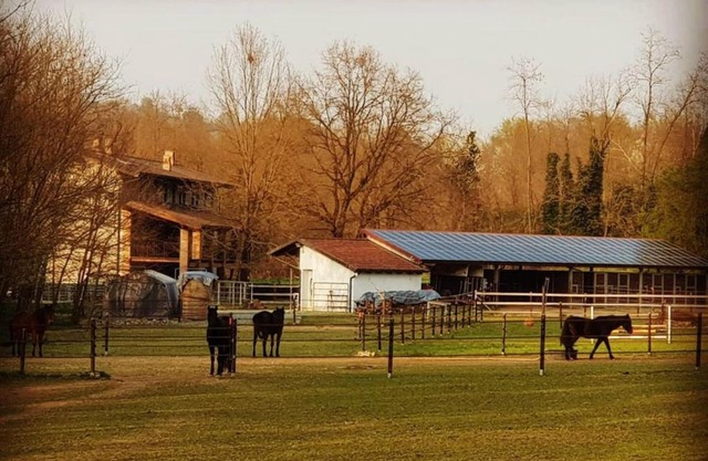 Cameloth B&B