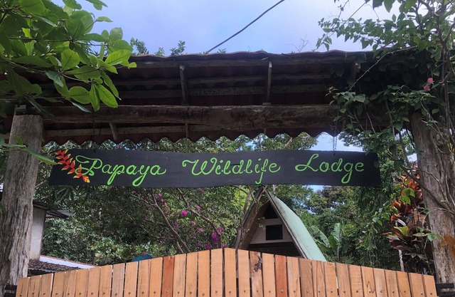 Caribbean Experience