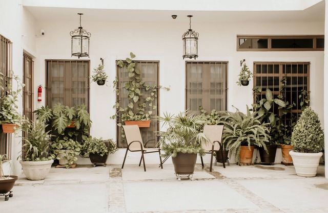 Casa Allende