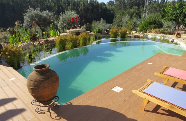Casa Azul self-catering apartment with gorgeous biological swimming pool