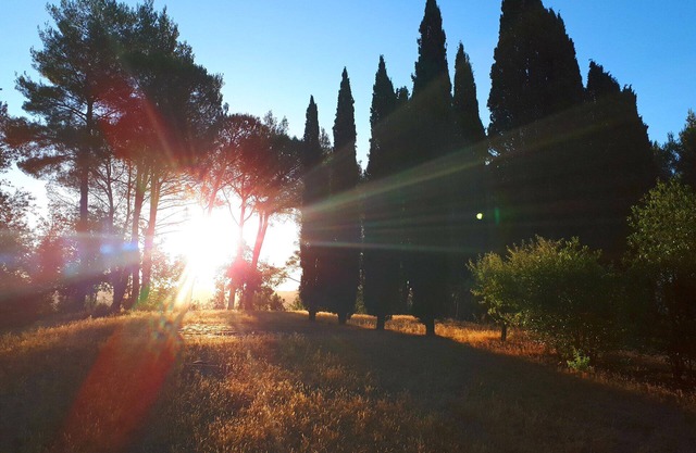 Casa Divina B&B - PISA - TUSCANY - YOGA NATURE Plant based - DEVOTION ROOM