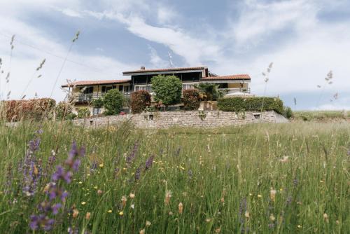 Casa Joop Dolce far Niente