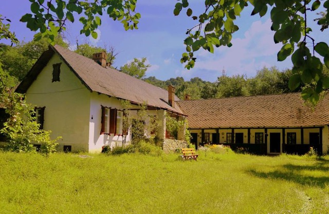 Casa Memoriala George Stephanescu