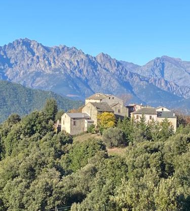 Casa Rosa