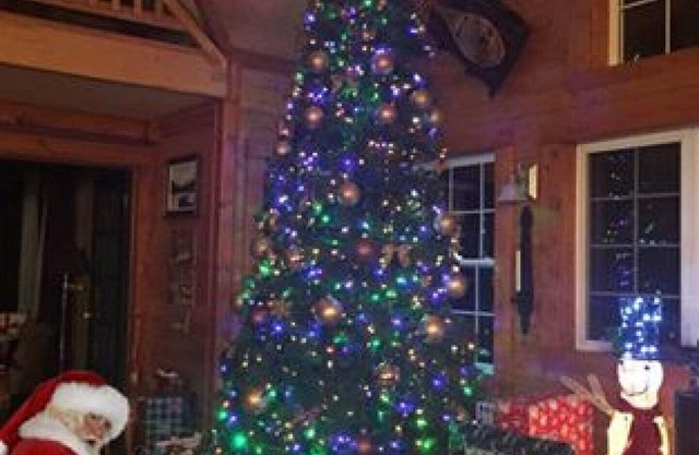 Cedar Brook Landing River Lodge - Browns Yard