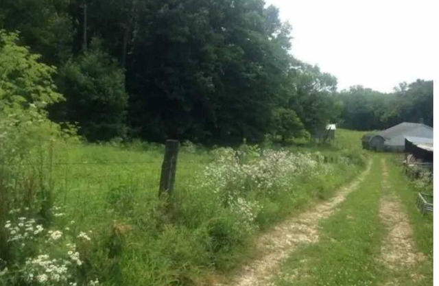 Celtic Glen Farm Stay - Shady pasture overlookn
