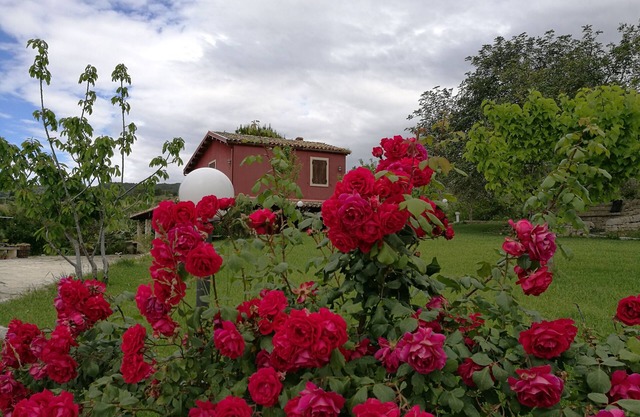 Ceretanum Holiday House