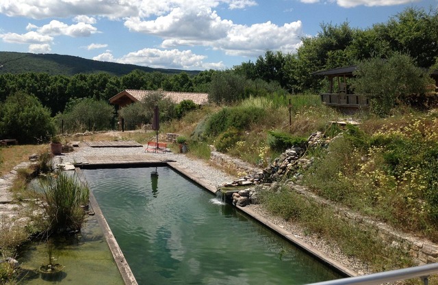 Charming cottage in the Cèze Valley