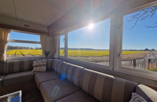 Chalet 'Como La Flor' Julianadorp Flowerfields Overview!