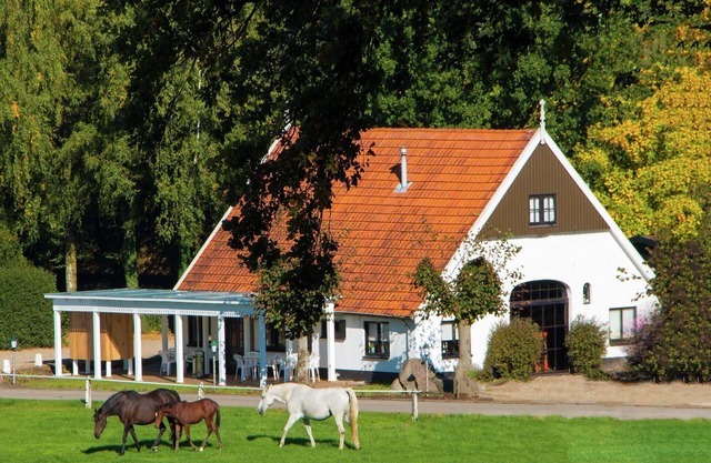 Chalet in Netherlands with Private Garden