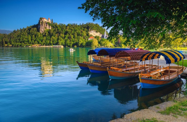 Chalet Kupljenik Near Bled Lake