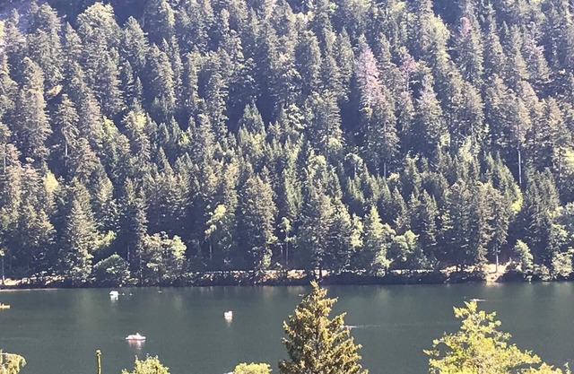 Chalet Lamartine with beautiful view near Gerardmer, sleeps 2 to 6, comfort wifi
