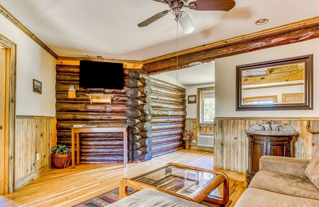 Charming dog-friendly cabin with kitchenette, patio, & close to attractions