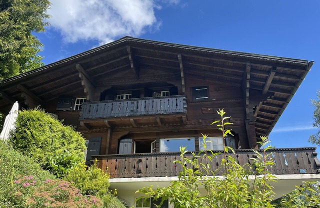 Charming family-style Chalet with full view of the Rinderberg
