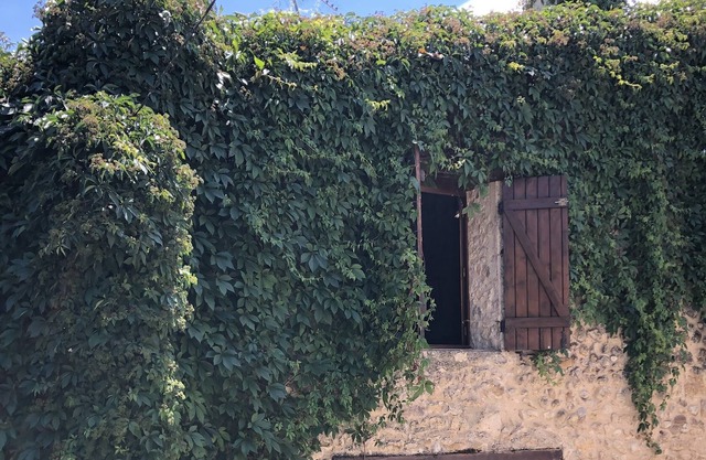 Charming house in the Verdon