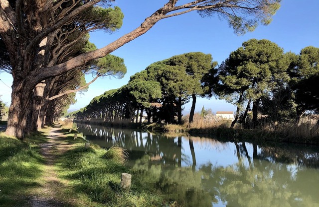 Charming house on Canal du Midi near Narbonne and 30 minutes from the sea