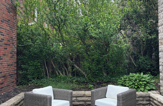 Charming Pittsburgh Getaway - Private Home - 2 Beds