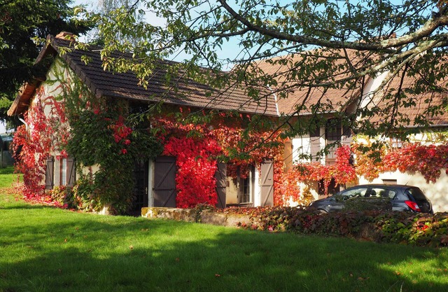 Charming stone cottage on its own land in Southern Burgundy