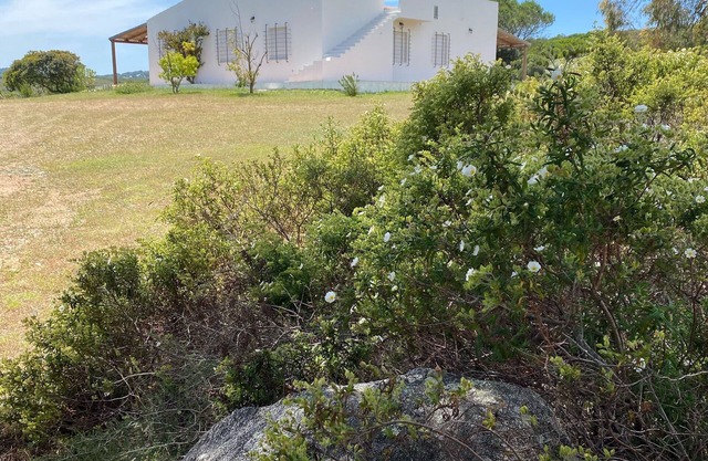 Charming villa located in front of the Maddalena archipelago