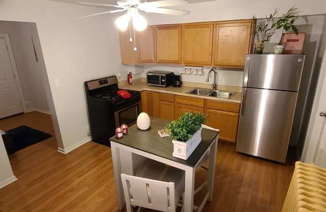 Chic, Cozy home, by Blue Line Train Stop + Free parking