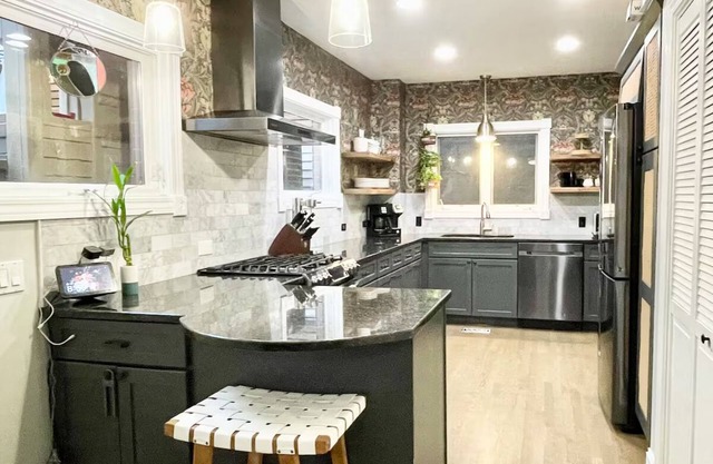 Chic Entire home for Large Groups - Chicago - Bucktown