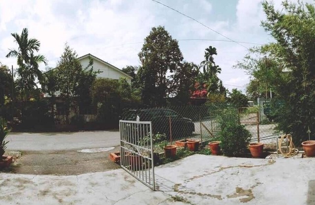 Classic Terrace