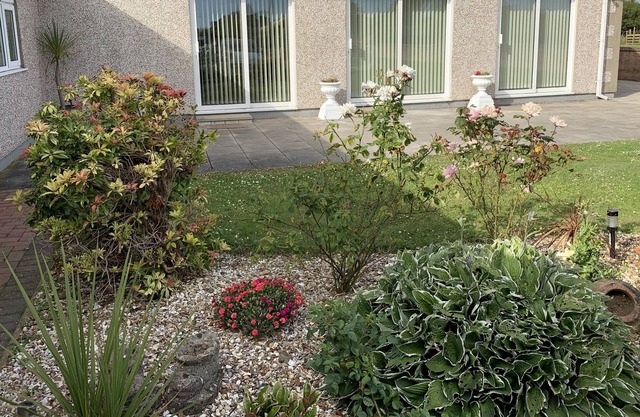 ***Coed Bach Studio **** Near Rhosneigr