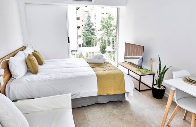 Comfortable Studio in Nuñez