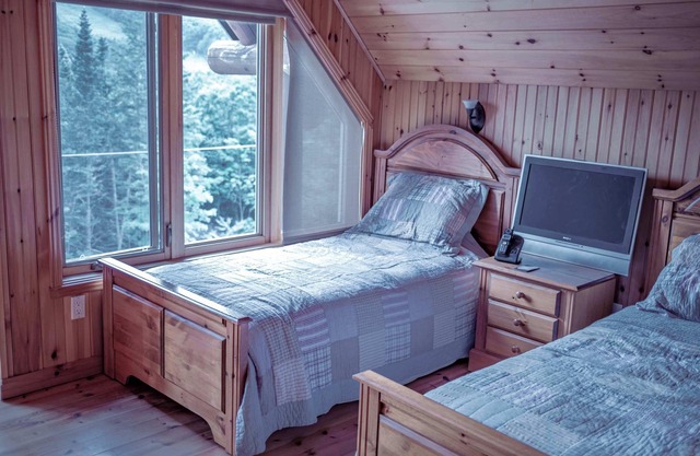 Condo de Ski - Boise du Midi