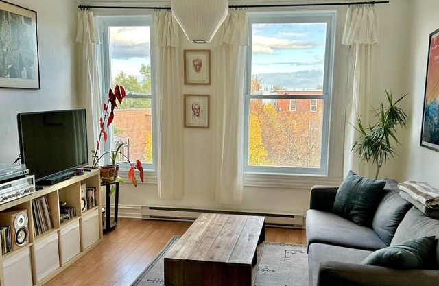 Condo Olympique MTL/Sunny condo near the Olympic stadium!
