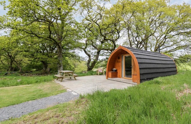 Conwy Pod