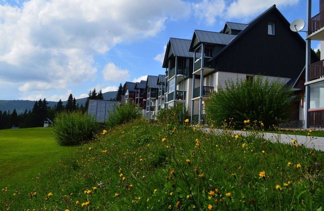 Cosy apartment for 4 guests with WIFI, TV and balcony