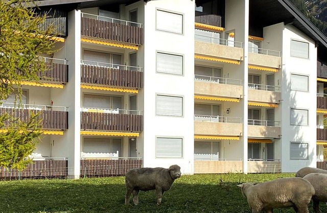Cosy apartment for 6 guests with WIFI, TV and balcony