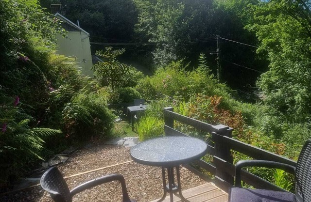 Cosy Cottage overlooking the Teifi Gorge